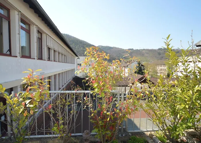 酒店 Aktivhotel Alter Kaiser 3*